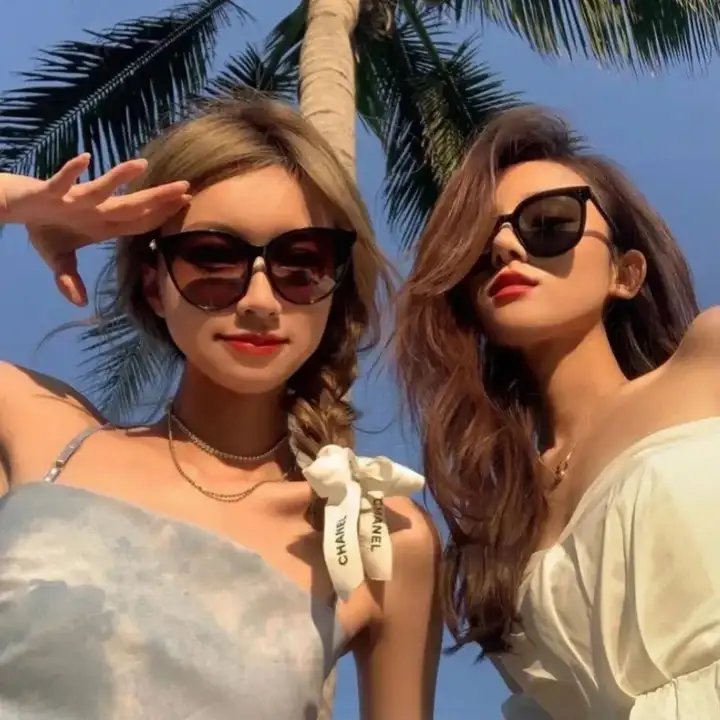 天网行动2019