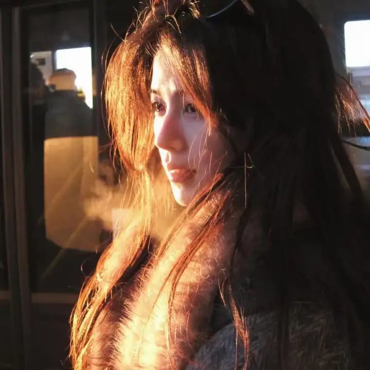 梅尔吉勃逊之英雄本色